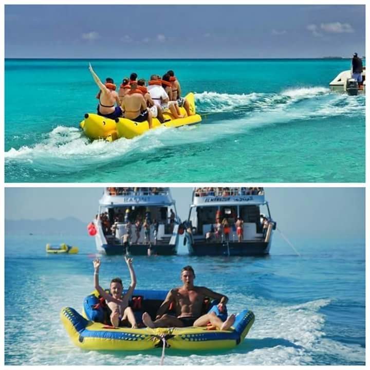 Barakoda red sea tours