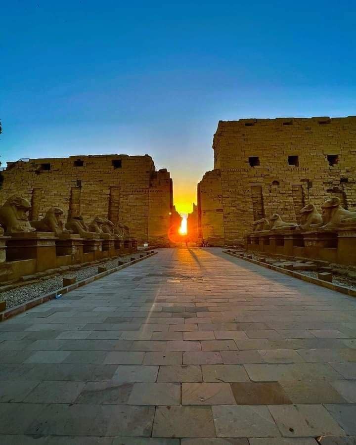 Barakoda red sea tours