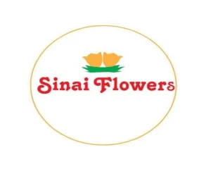 SINAI FLOWERS